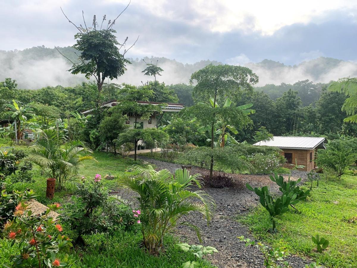 True Nature Chiang Mai - Yoga & Meditation Homestay Retreat Eksteriør bilde