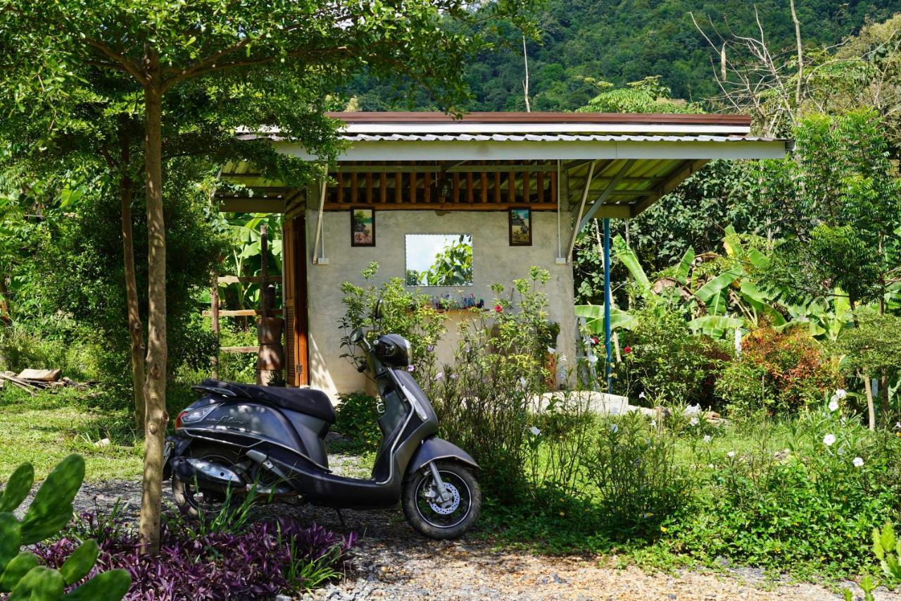 True Nature Chiang Mai - Yoga & Meditation Homestay Retreat Eksteriør bilde