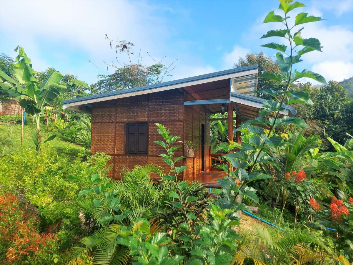 True Nature Chiang Mai - Yoga & Meditation Homestay Retreat Eksteriør bilde
