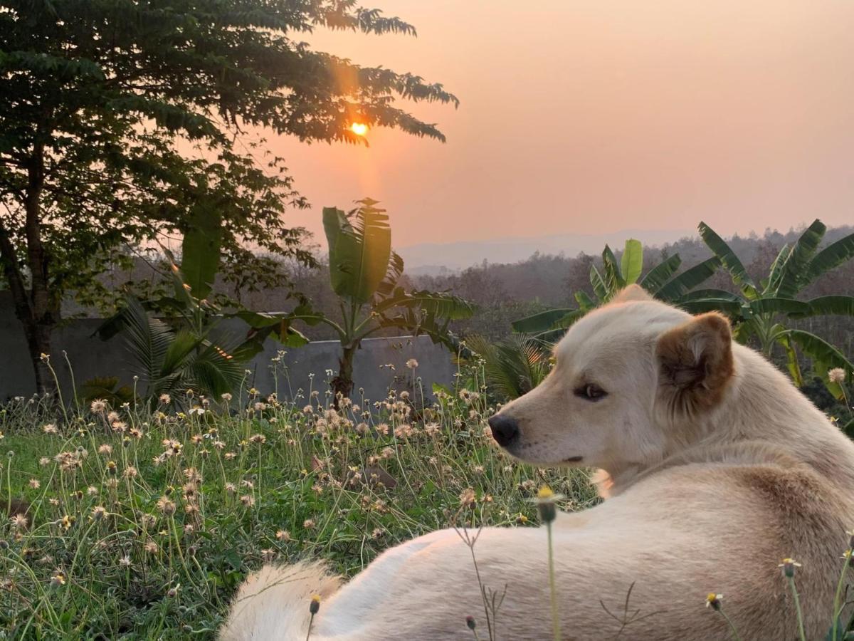 True Nature Chiang Mai - Yoga & Meditation Homestay Retreat Eksteriør bilde